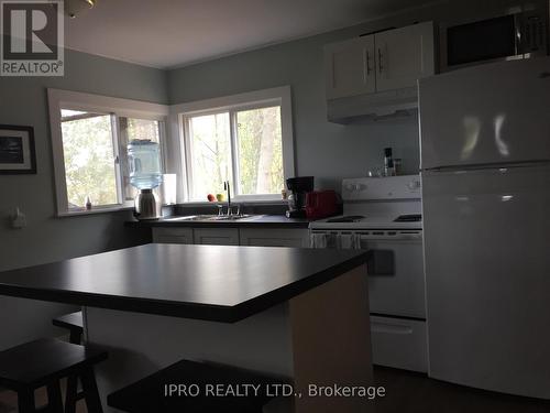 35 Hillcrest Avenue, Kawartha Lakes, ON - Indoor Photo Showing Kitchen With Double Sink