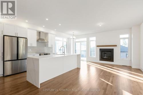 87 Bon Temps Way, Ottawa, ON - Indoor Photo Showing Kitchen With Fireplace With Upgraded Kitchen