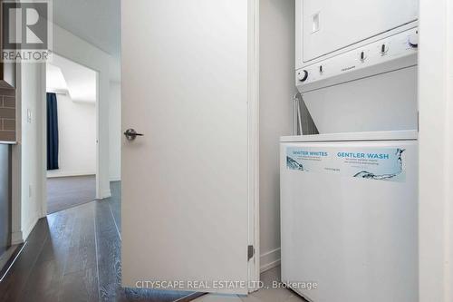 410 - 812 Lansdowne Avenue, Toronto, ON - Indoor Photo Showing Laundry Room