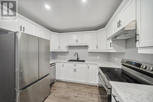 3 - 491 King George Street, Peterborough (Otonabee), ON - Indoor Photo Showing Kitchen With Double Sink