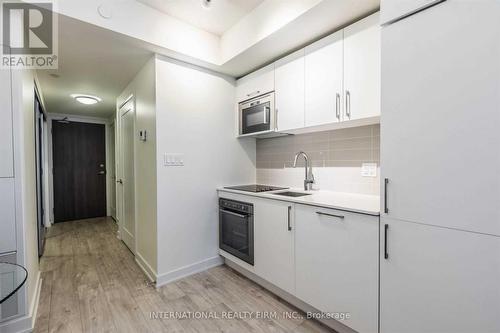 419 - 27 Bathurst Street, Toronto, ON - Indoor Photo Showing Kitchen With Double Sink