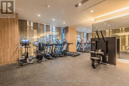 419 - 27 Bathurst Street, Toronto, ON - Indoor Photo Showing Gym Room