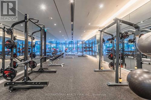 419 - 27 Bathurst Street, Toronto, ON - Indoor Photo Showing Gym Room