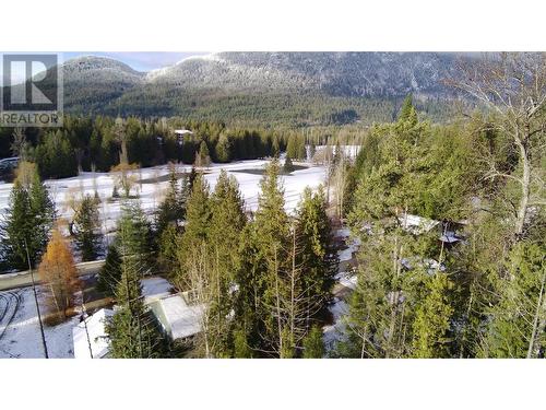 Lot 41 # Selkirk Road Road, Crawford Bay, BC 