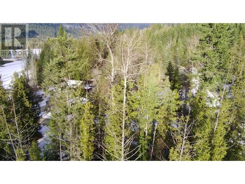 Lot 41 # Selkirk Road Road, Crawford Bay, BC 