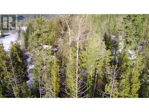 Lot 41 # Selkirk Road Road, Crawford Bay, BC 