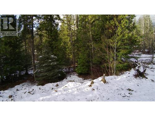 Lot 41 # Selkirk Road Road, Crawford Bay, BC 