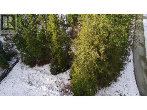 Lot 41 # Selkirk Road Road, Crawford Bay, BC 