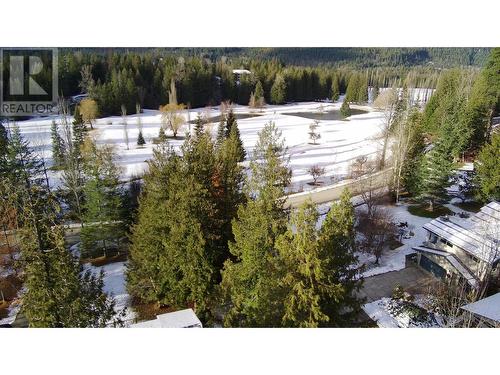 Lot 41 # Selkirk Road Road, Crawford Bay, BC 