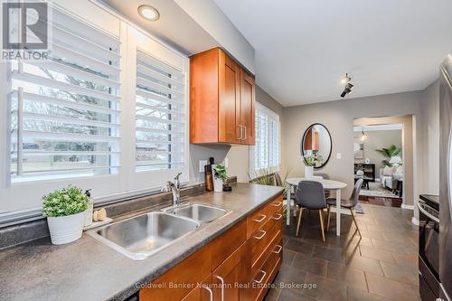 161 Renfield Street N, Guelph (Waverley), ON - Indoor Photo Showing Kitchen With Double Sink