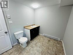 Bathroom featuring vanity, toilet, and baseboard heating - 