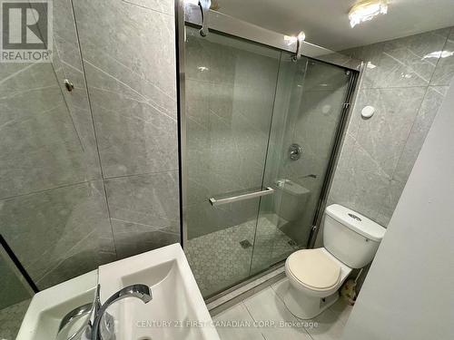 Lower - 139 Britannia Avenue, London, ON - Indoor Photo Showing Bathroom