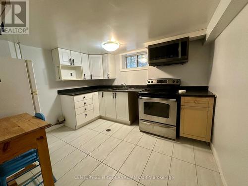 Lower - 139 Britannia Avenue, London, ON - Indoor Photo Showing Kitchen