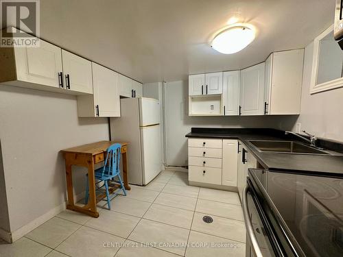 Lower - 139 Britannia Avenue, London, ON - Indoor Photo Showing Kitchen