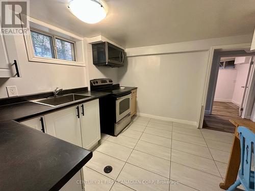 Lower - 139 Britannia Avenue, London, ON - Indoor Photo Showing Kitchen