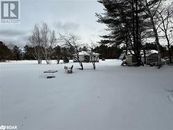 View of yard layered in snow - 