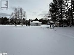 View of yard covered in snow - 