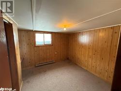 Spare room featuring carpet, wood walls, and a baseboard heating unit - 