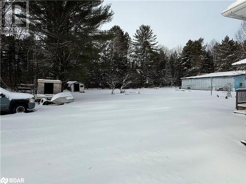 View of snowy yard - 32299 Highway 17 E, Deep River, ON - Outdoor