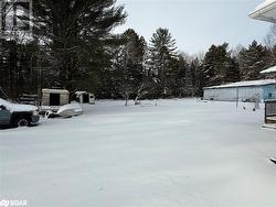 View of snowy yard - 