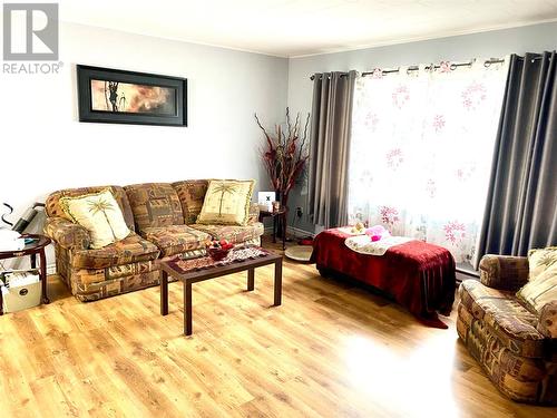 12 Main Street N, Glovertown, NL - Indoor Photo Showing Living Room