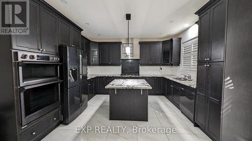 Upper - 10 Goderich Drive, Brampton, ON - Indoor Photo Showing Kitchen With Double Sink With Upgraded Kitchen