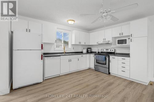 203 Somerville Street, Tecumseh, ON - Indoor Photo Showing Kitchen With Double Sink