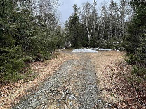 1241 Highway 224 Highway, Sheet Harbour, NS 