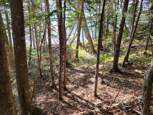 Lot 23-8 Murphy Road, Upper Washabuck, NS 