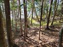 Lot 23-8 Murphy Road, Upper Washabuck, NS 