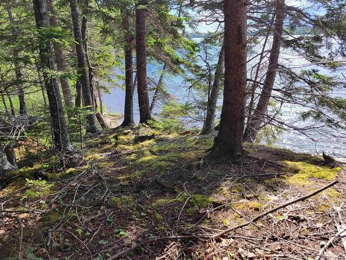 Lot 23-8 Murphy Road, Upper Washabuck, NS 