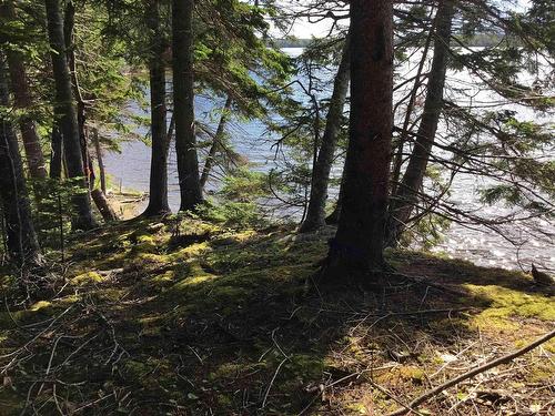 Lot 23-8 Murphy Road, Upper Washabuck, NS 