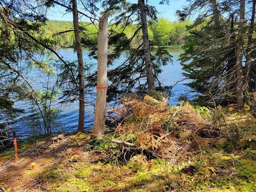 Lot 23-1 Murphy Road, Upper Washabuck, NS 