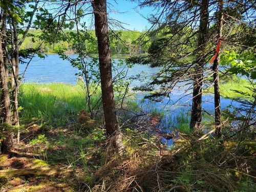 Lot 23-1 Murphy Road, Upper Washabuck, NS 