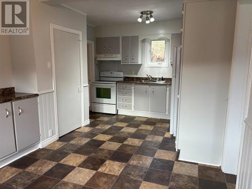 109 Beach Avenue, Salmon Cove, NL - Indoor Photo Showing Kitchen