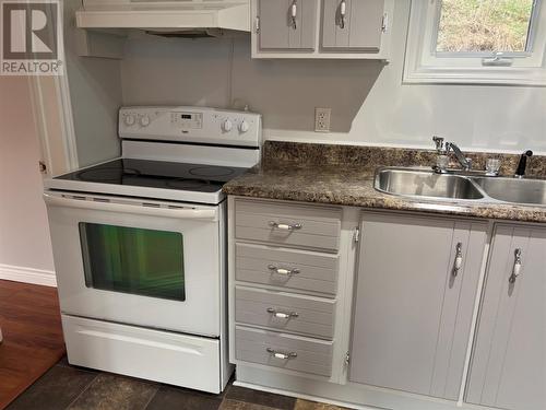 109 Beach Avenue, Salmon Cove, NL - Indoor Photo Showing Kitchen With Double Sink