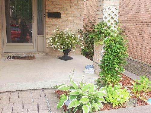 53 Rosebud Ave, Brampton, ON - Outdoor