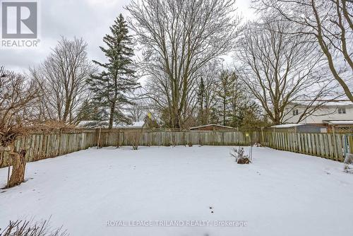 210 Clifford Street, London, ON - Outdoor With Backyard