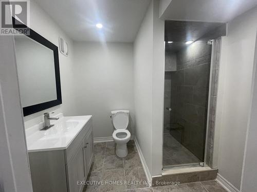 383 Mccartney Crescent, Milton, ON - Indoor Photo Showing Bathroom