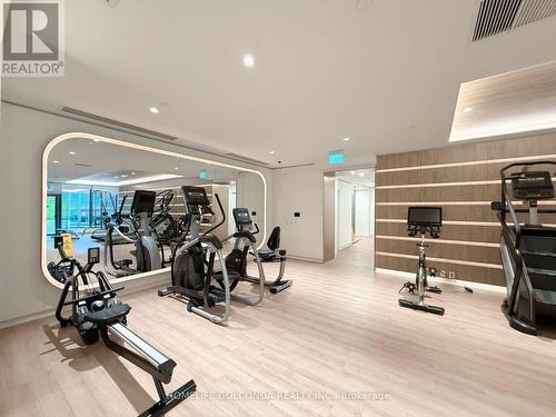 Lph20 - 1100 Sheppard Avenue W, Toronto, ON - Indoor Photo Showing Gym Room