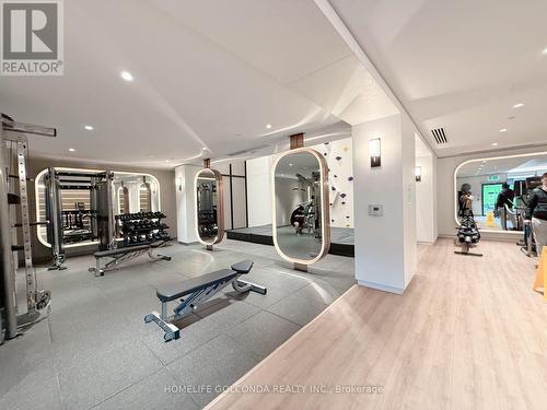 Lph20 - 1100 Sheppard Avenue W, Toronto, ON - Indoor Photo Showing Gym Room