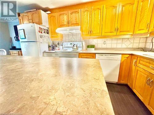 196 Traynor Avenue, Kitchener, ON - Indoor Photo Showing Kitchen