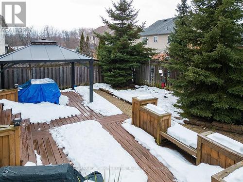 34 Davis Street, Collingwood, ON - Outdoor With Backyard