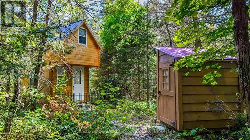 77 Grindstone Road, Magnetawan, ON - Outdoor