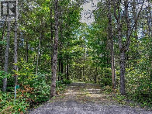 77 Grindstone Road, Magnetawan, ON - Outdoor