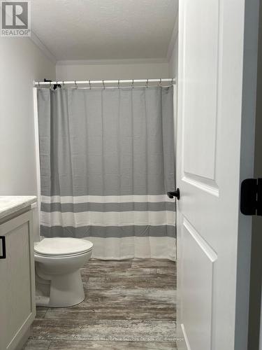 212 Spruce Drive, West Grey, ON - Indoor Photo Showing Bathroom