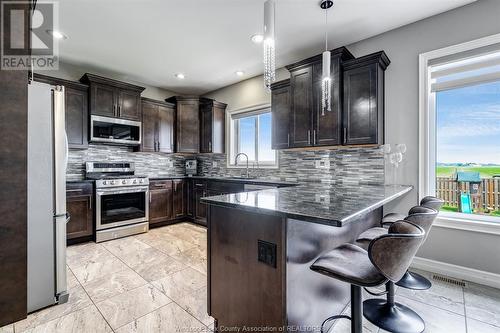 2125 Fox Run Road, Leamington, ON - Indoor Photo Showing Kitchen With Upgraded Kitchen