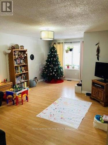 268 Carrie Street, Strathroy-Caradoc (Nw), ON - Indoor Photo Showing Living Room