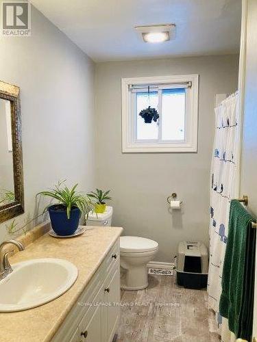 268 Carrie Street, Strathroy-Caradoc (Nw), ON - Indoor Photo Showing Bathroom