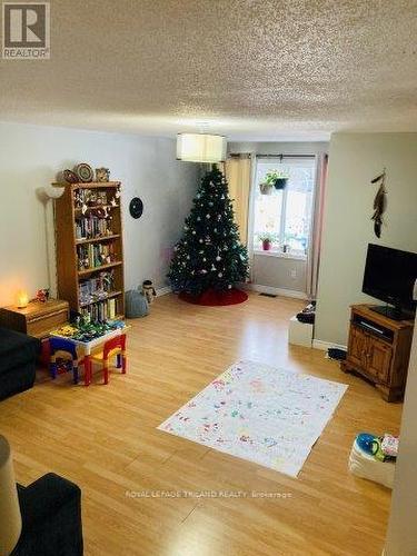 268 Carrie Street, Strathroy-Caradoc (Nw), ON - Indoor Photo Showing Living Room